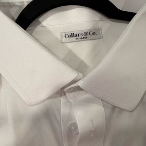 2-Collars & Co. White and White and BlueDress Shirt